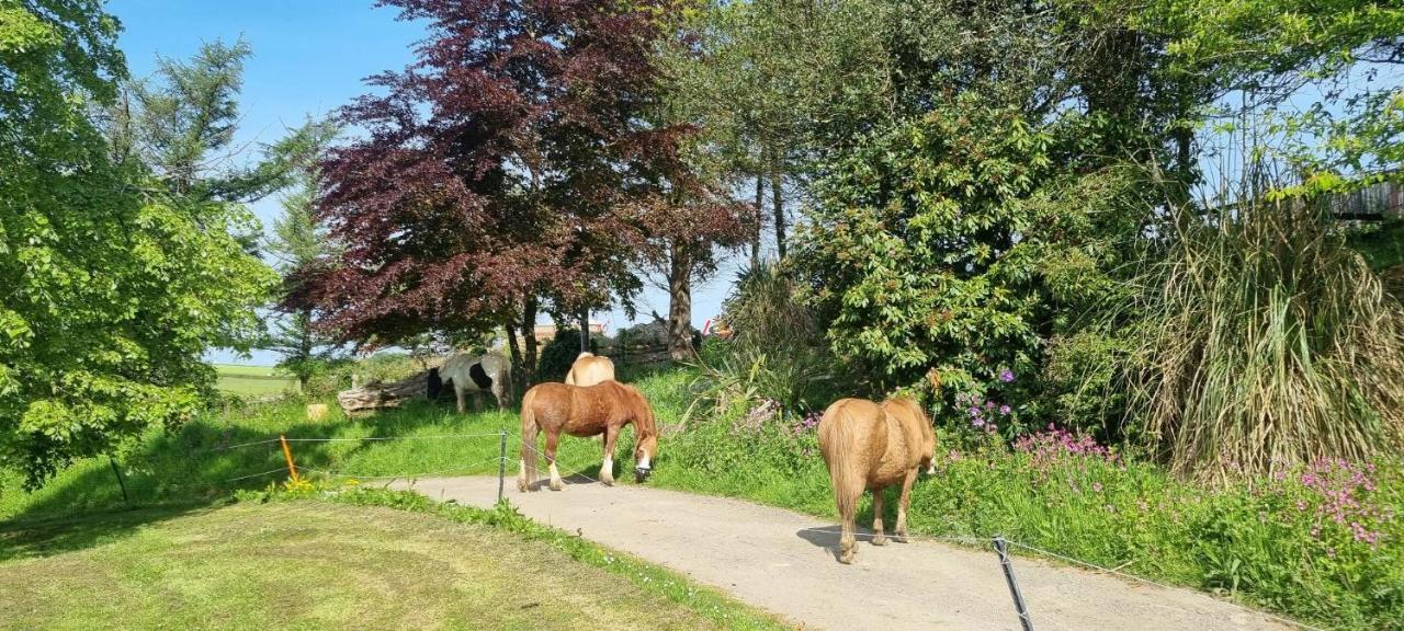 Trelawney Cottage, Sleeps Up To 4, Wifi, Fully Equipped Menheniot Exterior foto