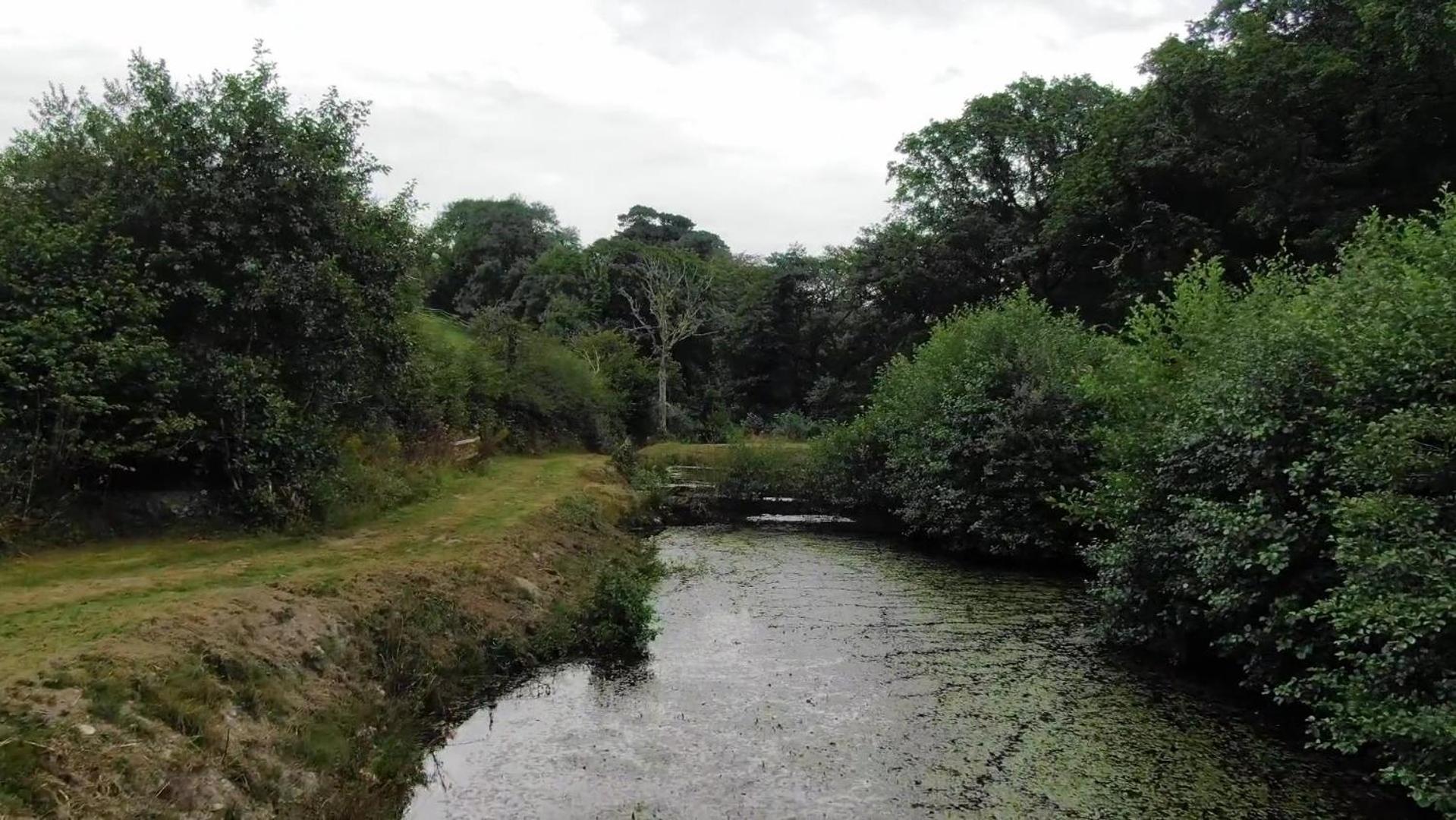 Trelawney Cottage, Sleeps Up To 4, Wifi, Fully Equipped Menheniot Exterior foto