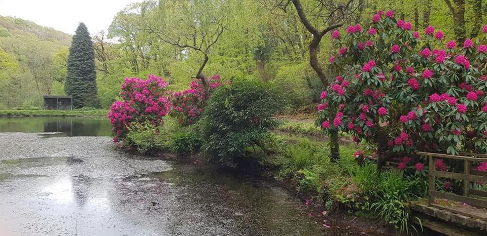 Trelawney Cottage, Sleeps Up To 4, Wifi, Fully Equipped Menheniot Exterior foto