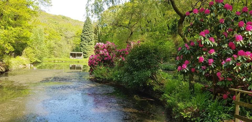 Trelawney Cottage, Sleeps Up To 4, Wifi, Fully Equipped Menheniot Exterior foto